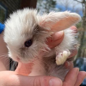 Meet your Posher, Andrea